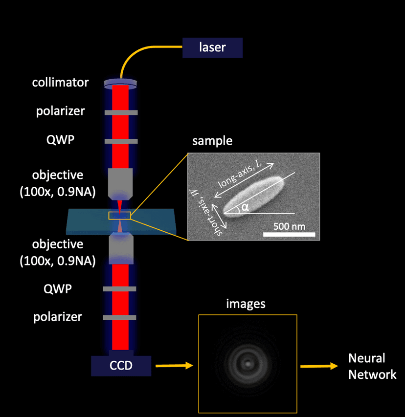 Optical path diagram